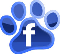 facebook paw