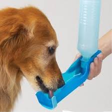 dog water bowl travel Wagging Tails Pet Sitting & Mobile Grooming Cheshire CT