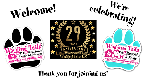 27th Anniversary Logo Footer