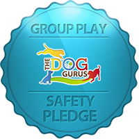 The Dog Gurus Safety Pledge